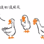 changle.png